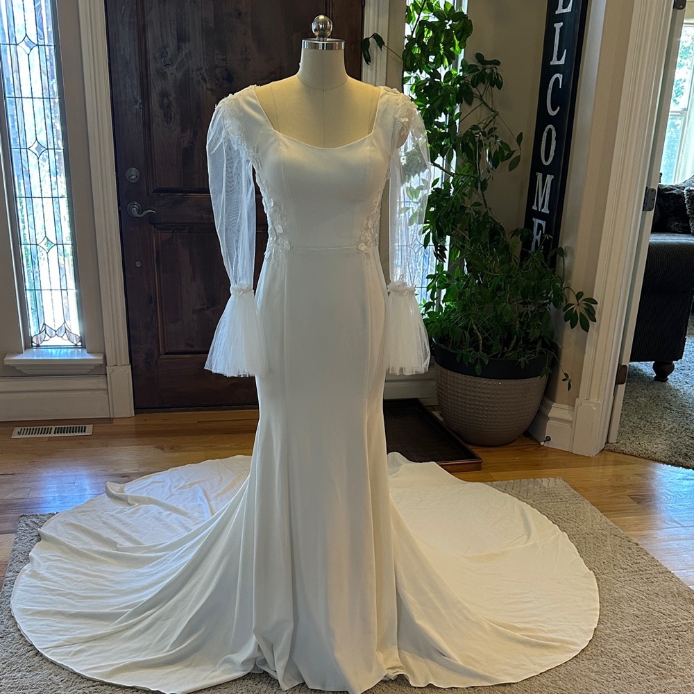 Elegant Light Ivory Crepe and Lace Back Bodice and Tulle Sleeve Dress